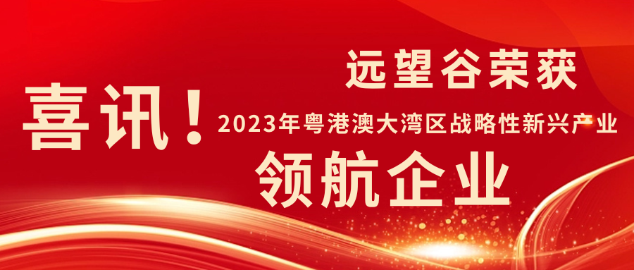 新年迎喜讯 | 云顶集团·4008荣获2023年粤港澳大湾区战略性新兴产业“领航企业”！